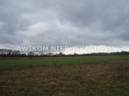 Działka budowlana na sprzedaż, 1200 m2, Kaleń