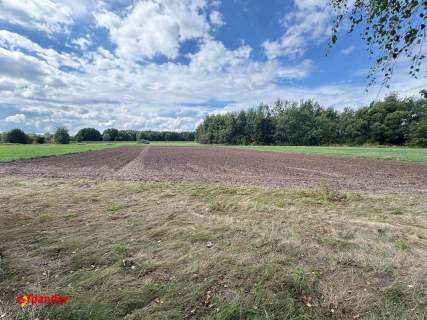 Działka rolna o pow. 4180 m2, Rajsków Kalisz