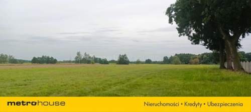 Działka bud. 9 domów inwestycja Brzezie Trzebnica