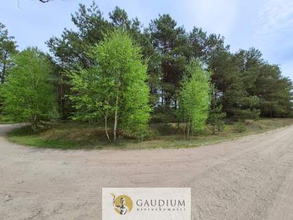 Leśna bajka działka budowlana Bartoszylas