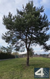 Działka pod domy 40 min od Warszawy