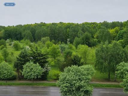 Północ, 2 pokoje, duży balkon, widok na las