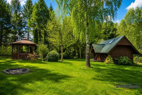 Domek nad jeziorem w otoczeniu lasów 