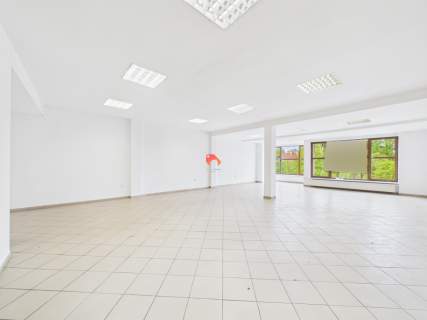 DO WYNAJĘCIA 300m2, WIDOK NA WYSPĘ MŁYŃSKĄ 