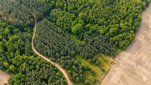 Na sprzedaż działki rekreacyjne w lesie, Wrocław