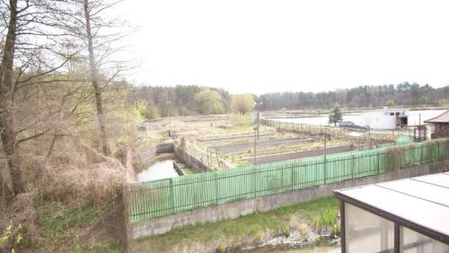 5,42 ha, Stawy rybne, las, Zemborzyce, Lublin