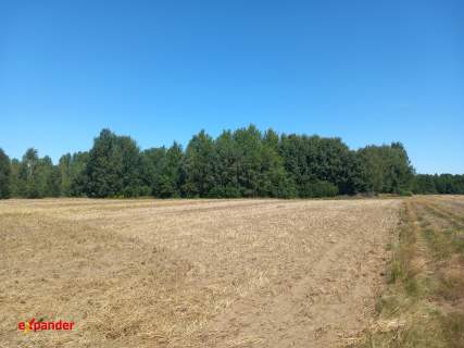 BLINNO DZIAŁKA ROLNA 1,82 HA Z MOŻL. PODZIAŁU