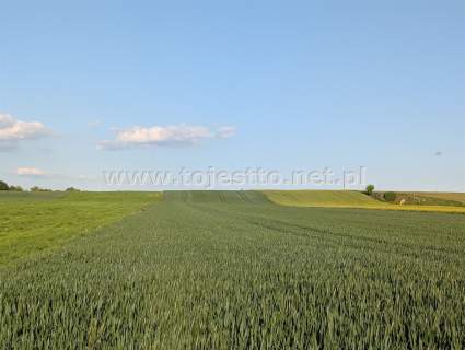 GRÓDEK, działka zabudowana 1700m2, dom budynki