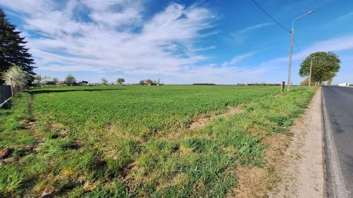 Działka budowlana 3907m2, MPZP