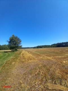 BLINNO DZIAŁKA ROLNA 1,32 HA