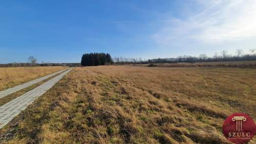 Bądź pierwszy Wybierz piękną działkę.