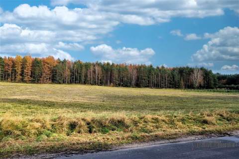 Działka na skraju wsi, w pobliżu lasu.