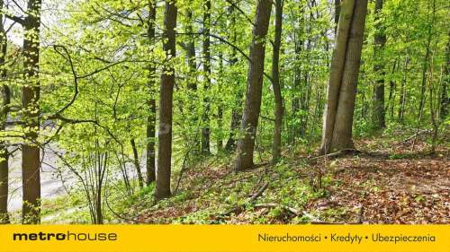 Niepowtarzalna okazja 2 stawy rybne i las 3,15ha
