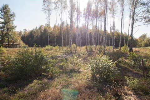 Działka budowlana z własnym stawem Kamińsko 3579m2