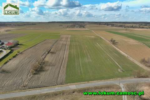 Działka rolno-budowlana o pow. 0,32 ha Ujazdowie gm. Nielisz