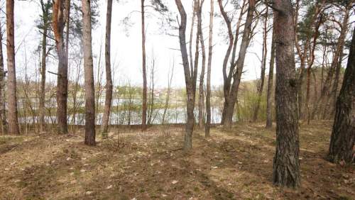 5,42 ha, Stawy rybne, las, Zemborzyce, Lublin