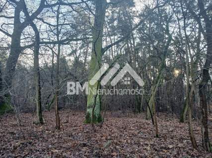 6500 m.kw., budowlano-leśna, Książenice