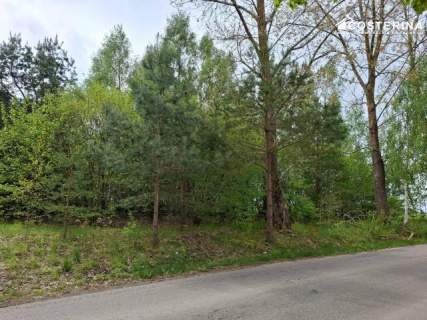 Sobącz 8165 m2 dużej działki blisko jeziora na Kaszubach