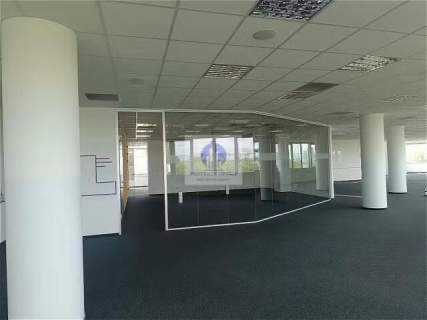 Wola lokal biurowy 501,98 m2 do wynajęcia