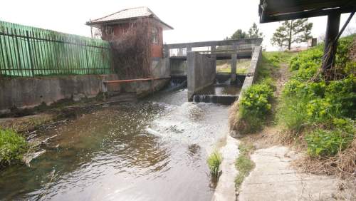 5,42 ha, Stawy rybne, las, Zemborzyce, Lublin