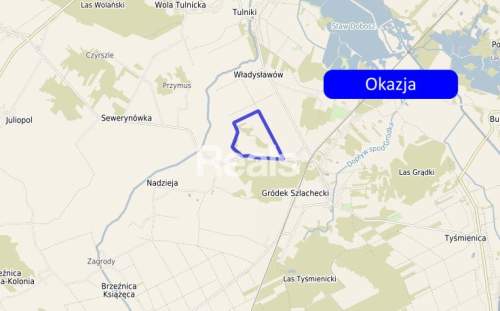 Duża działka 51 ha z potencjałem inwestycyjnym