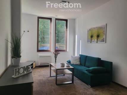Ostatni apartament nad jeziorem w otoczeniu lasów.