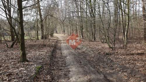 Dom na sprzedaż w Szczecinie, Płonia-Śmierdnica
