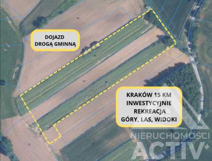Rolna z potencjałem, rekreacja, 1ha, Kraków 15km