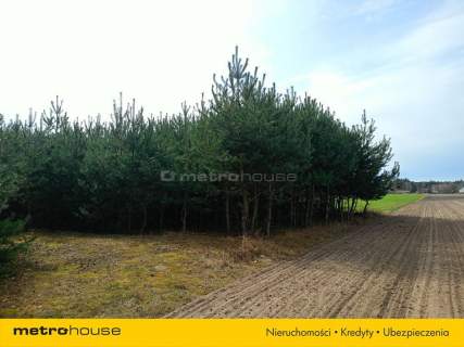 Działka orna w Uchaniu Dolnym k/Łowicza 24 000 m2