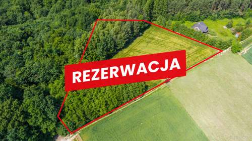 Na sprzedaż działka 79 arów- Domosławice