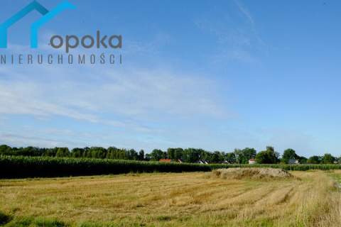 Działka w Zaborzu