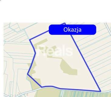 Duża działka 51 ha z potencjałem inwestycyjnym