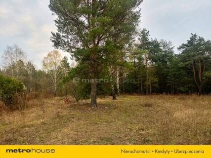 Działka rolno-leśna Skierniewice-Rawka 1 238 m2