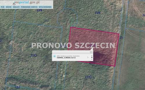 Lubczyna działka nad jeziorem sprzedaż