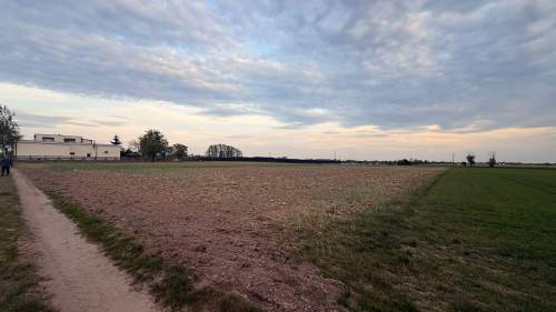 Działki budowlane na sprzedaż Kotunia, gm. Słupca