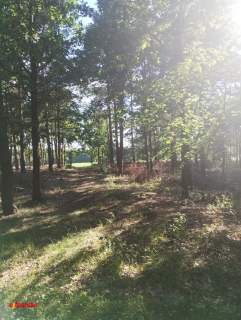 BLINNO DZIAŁKA ROLNA BEZ MPZP 1,5 HA
