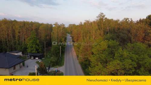 Książenice Działka leśna 4000m2 pod rezydencję