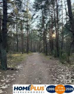 Piękna działka w Dąbrowie Leśnej z pozwoleniem