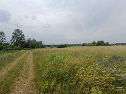 Sielskie widoki Spokojna Okolica Słoneczna