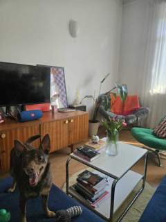Designerskie mieszkanie w kamienicy, 2p, balkon