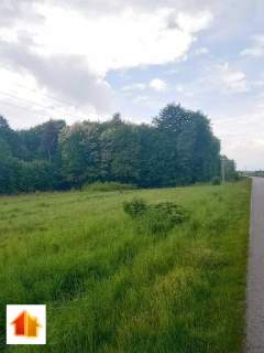 Grodzisko Dolne - Działka pod lasem- 47,20 ar z WZ