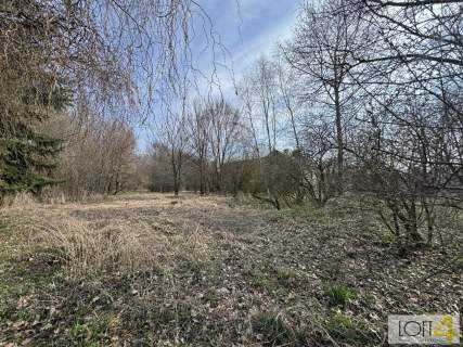 Twój niemały kawałek natury 1,26 ha.