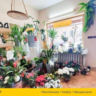 Lokal użytkowy na sprzedaż, 59 m2, Sępólno Krajeńskie