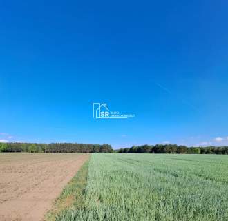 Działka rolna na sprzedaż, 1500 m2, Rembów