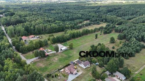 Działka na sprzedaż 910 m2 Gałęzice gm. Piekoszów