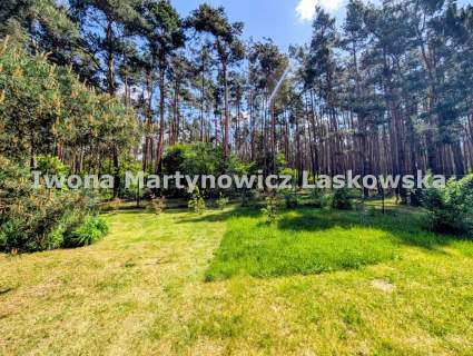 Działka rekreacyjna pod lasem - 60 km od Wrocławia
