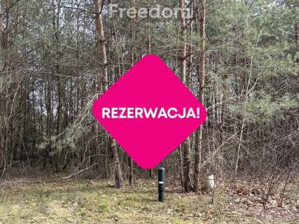Na sprzedaż działki w Golubiu Dobrzyniu