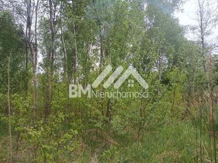 1502m2 - Mościska/Adamowizna na dwulokalówkę