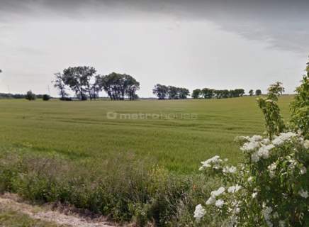 DZIAŁKA BUDOWLANA Z MPZP, BORKOWICE