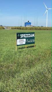 MIŁOSŁAW DK15 GOTOWY GRUNT POD INWESTYCJĘ